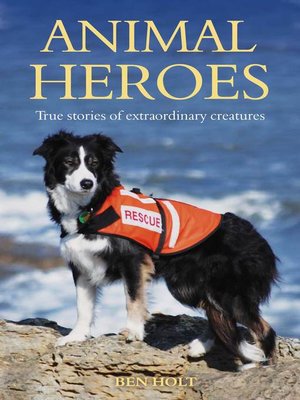 cover image of Animal Heroes